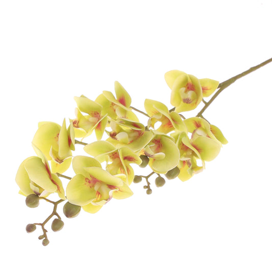 Mini Orchid Flower Stick – Green (Artificial Stem) - Habitt