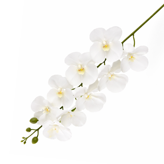 Artificial White Orchid Flower Stem – Elegant Faux Orchid for Floral Arrangements & Décor - Habitt