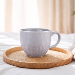 Classic Grey Ceramic Coffee Mug – Gloss Finish Everyday Tea & Coffee Cup - Habitt