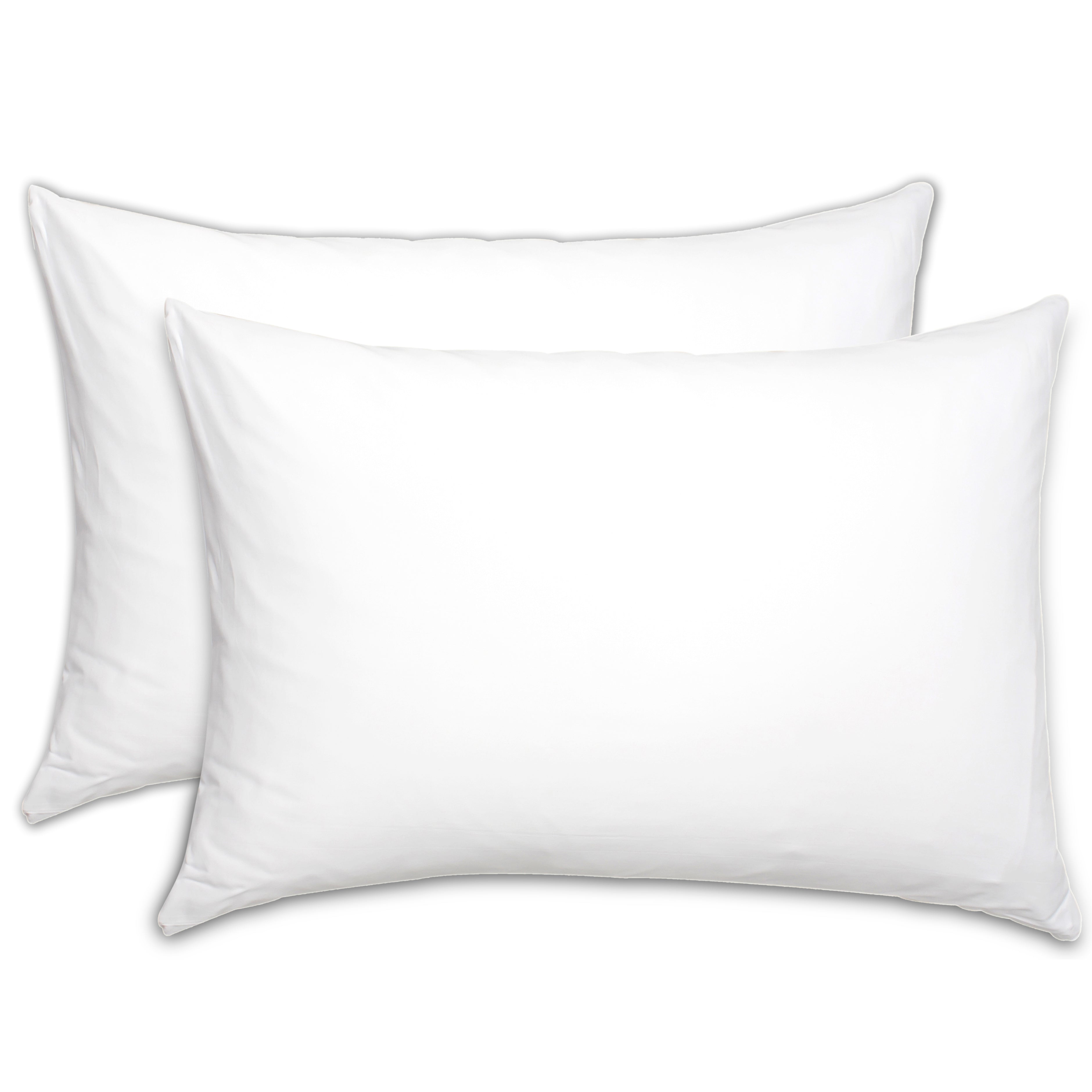 Bundle of 2 Pillow Filling  (20x30)