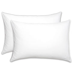 Bundle of 2 Pillow Filling  (20x30)