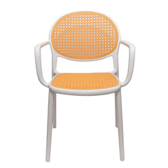 Cane Charm Armchair – Plastic Frame with Woven Cane‑Style Seat & Back (Black, White, Green) - Habitt