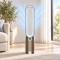 Dyson Purifier Cool PC2 De-NOx TP12