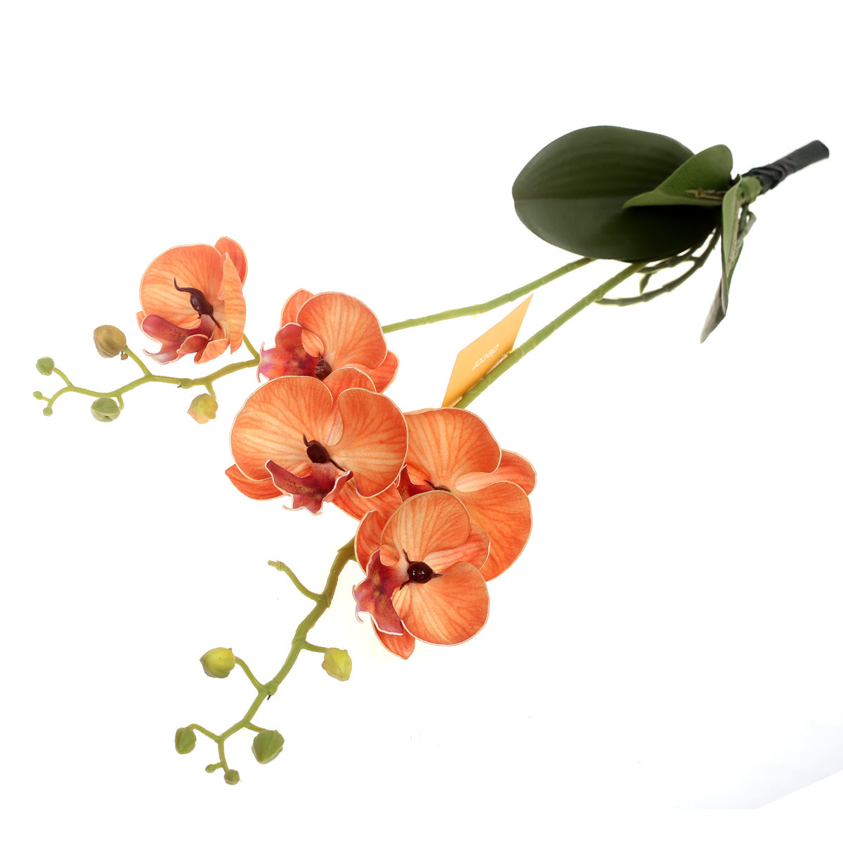 Orchid Flower Stick Orange 22 Inch Hight SX-012 - Habitt