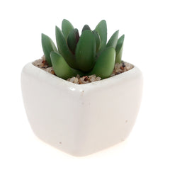 Table Pot White 2 X 2 X 3 Inch SX-013 - Habitt