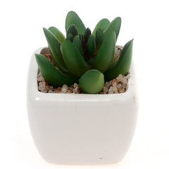 Table Pot White 2 X 2 X 3 Inch SX-013 - Habitt