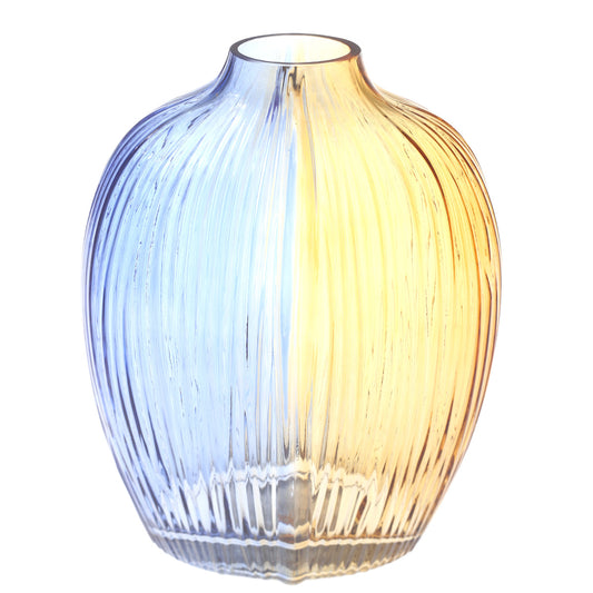 Glass Vase HY-21 - Habitt