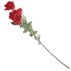 Rose Velvet Red - Habitt