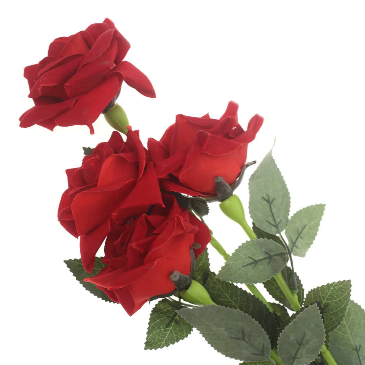 Rose Velvet Red - Habitt