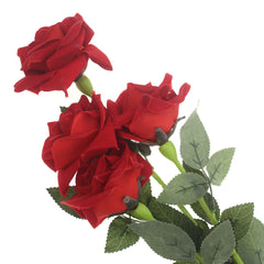 Rose Velvet Red - Habitt