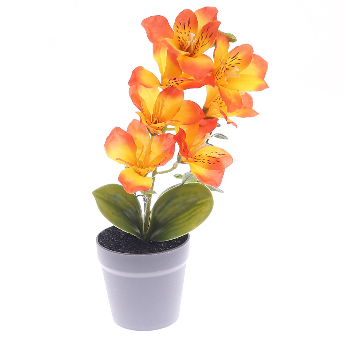 Table Plant – Tiger Lily Style – Orange – 2025366 - Habitt