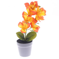 Table Plant – Tiger Lily Style – Orange – 2025366 - Habitt