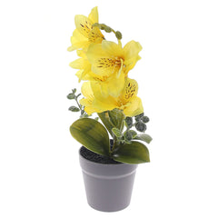 Table Plant – Lily Arrangement – Yellow – 2025366 - Habitt
