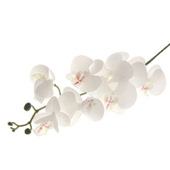 Artificial White Orchid Flower Stick – Elegant Orchid Spray FG7870 - Habitt
