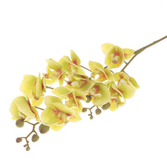 Mini Orchid Flower Stick – Green (Artificial Stem) - Habitt