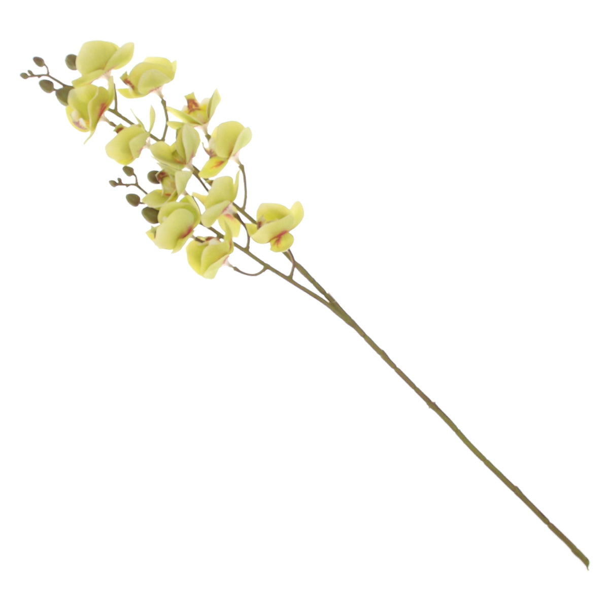Mini Orchid Flower Stick – Green (Artificial Stem) - Habitt