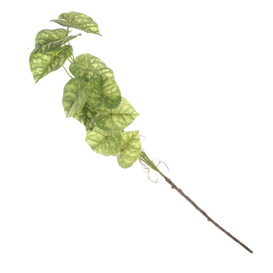 Syngonium Leave Filler  — Artificial Greenery for Home Decor - Habitt