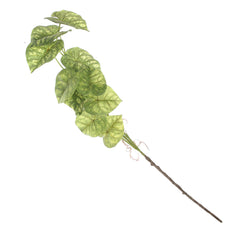 Syngonium Leave Filler  — Artificial Greenery for Home Decor - Habitt