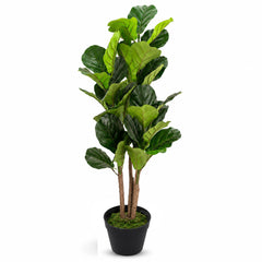 Fiddle Plant Small – Artificial Green Decorative Indoor Plant