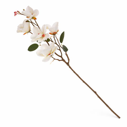 Magnolia White Flower Stem