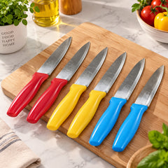 Assorted 6 Pcs Fruit Knife Set | Compact Cutting Knife Collection
