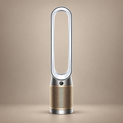 Dyson Purifier Cool PC2 De-NOx TP12