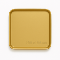 Gold Finish Stainless Steel Barbecue & Flat Plates – Multiple Sizes for Serving Snacks, BBQ & Meals - Habitt