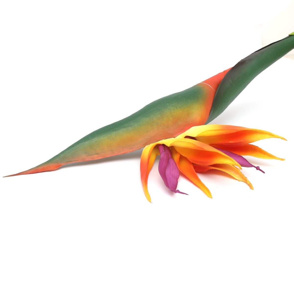 HEAVEN BIRD YELLOW Z-5 - Habitt