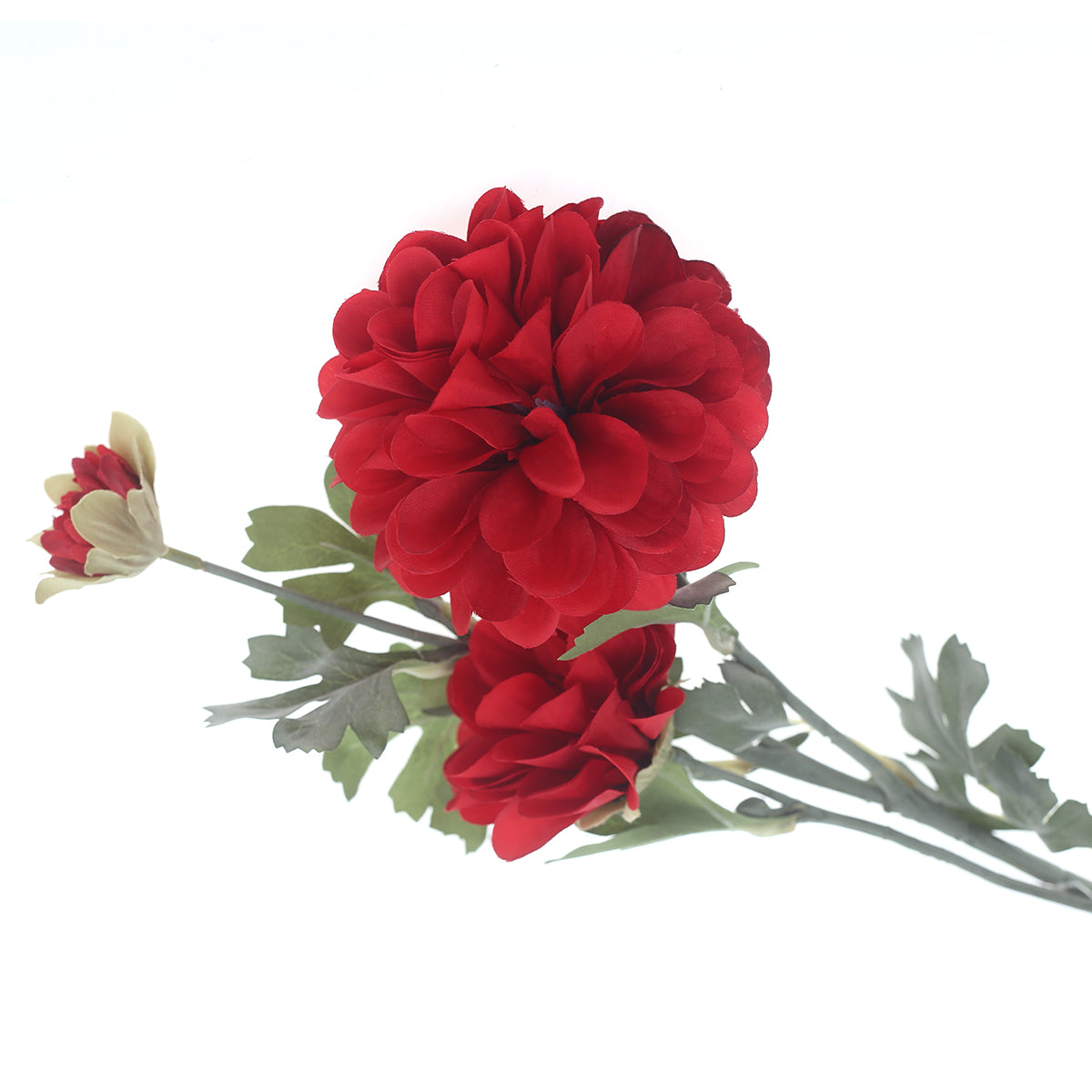 Dahlia.RED.WB-YD1002 - Habitt