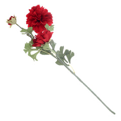 Dahlia.RED.WB-YD1002 - Habitt