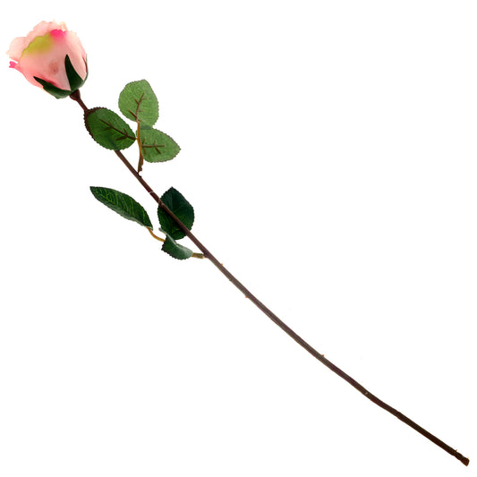SINGE ECUADOR ROSE 1F 6LVS （V1R72).Unspecified...20622 - Habitt