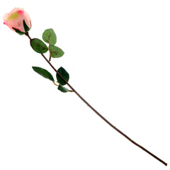 SINGE ECUADOR ROSE 1F 6LVS （V1R72).Unspecified...20622 - Habitt