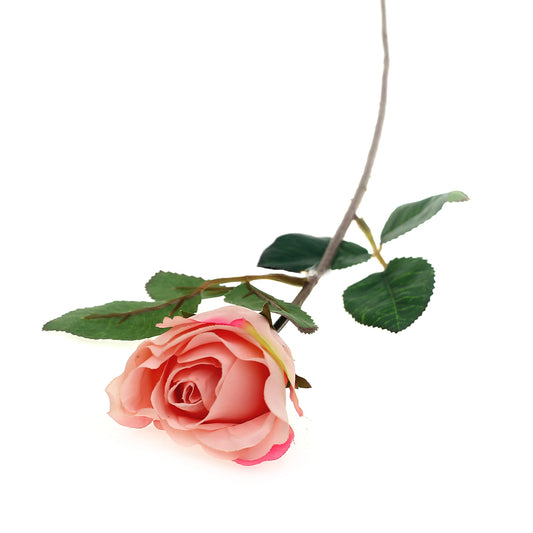 SINGE ECUADOR ROSE 1F 6LVS （V1R72).Unspecified...20622 - Habitt