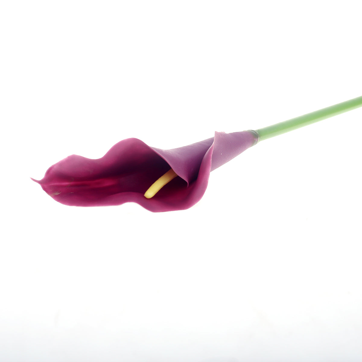 Callalily single flower.Unspecified...21260 - Habitt