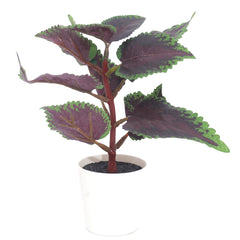 mini purple perilla set.Ceramic...25233/25234/25235 - Habitt