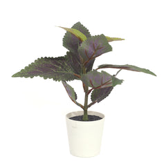 mini purple perilla set.Ceramic...25233/25234/25235 - Habitt