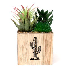 Cactus Plant.DU608 - Habitt