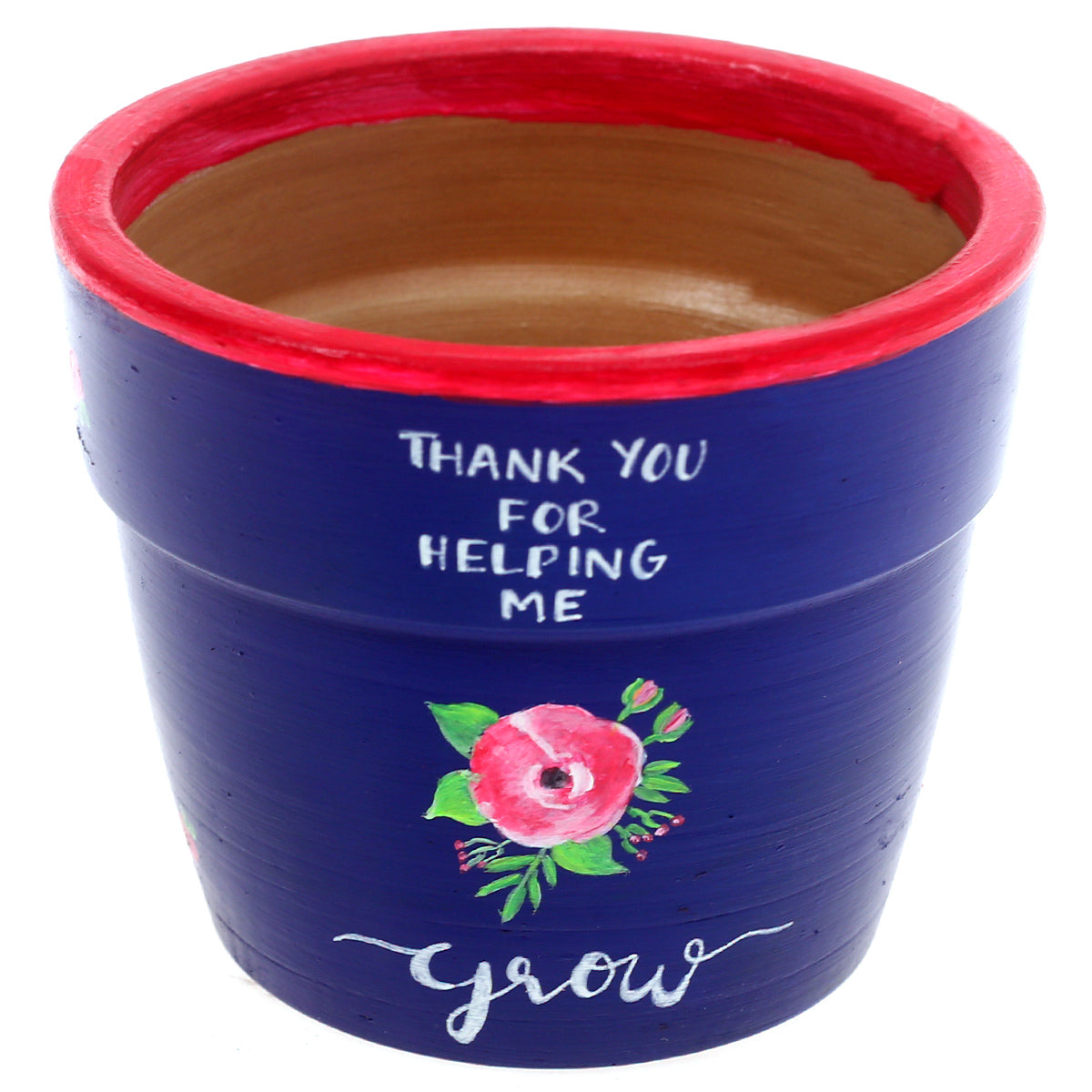 Pot with Plant and Grow Kit Rose Blue - Habitt
