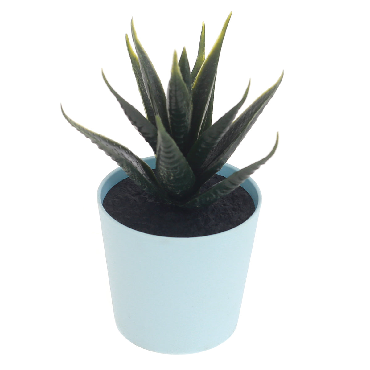 POT SUCCULENTS ASSORTED(light blue) - Habitt