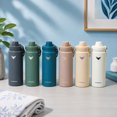 Assorted 650 ml Premium Insulated Sports Water Bottle with Handle | Leak-Resistant Drink Bottle