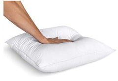 Bundle of 2 Pillow Filling  (20x30)