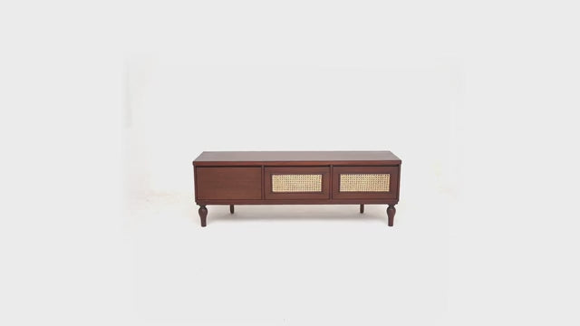 Gul Bahar TV Unit